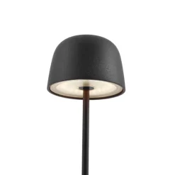 QAZQA Led-Außenleuchten|Akkulampen Outdoor*Tischleuchte schwarz inkl. LED, wiederaufladbar mit Ladestation IP65 - Raika