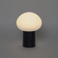 QAZQA Gartenbeleuchtung|Led-Außenleuchten*Tischleuchte schwarz inkl. LED 3-stufig dimmbar wiederaufladbar - Louise