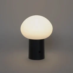 QAZQA Gartenbeleuchtung|Led-Außenleuchten*Tischleuchte schwarz inkl. LED 3-stufig dimmbar wiederaufladbar - Louise