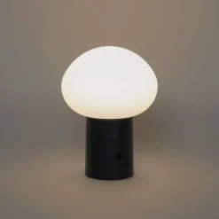 QAZQA Gartenbeleuchtung|Led-Außenleuchten*Tischleuchte schwarz inkl. LED 3-stufig dimmbar wiederaufladbar - Louise