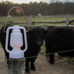 QAZQA Gartenbeleuchtung|Led-Außenleuchten*Tischleuchte weiß Flammeneffekt 22 cm - Storm Mini