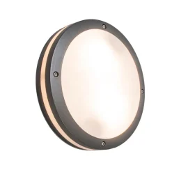 QAZQA Gartenbeleuchtung|Außenwandleuchten*Wand- und Deckenleuchte Dunkelgrau 2-flammig IP54 - Glow