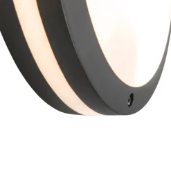 QAZQA Gartenbeleuchtung|Außenwandleuchten*Wand- und Deckenleuchte Dunkelgrau 2-flammig IP54 - Glow