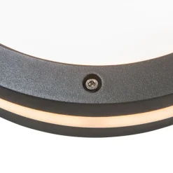 QAZQA Gartenbeleuchtung|Außenwandleuchten*Wand- und Deckenleuchte Dunkelgrau 2-flammig IP54 - Glow